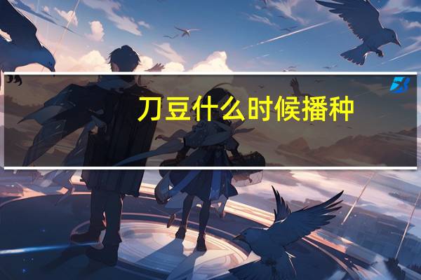刀豆什么时候播种
