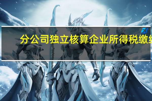 分公司独立核算企业所得税缴纳(分公司独立核算企业所得税)