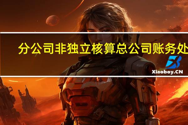 分公司非独立核算总公司账务处理（分公司非独立核算）