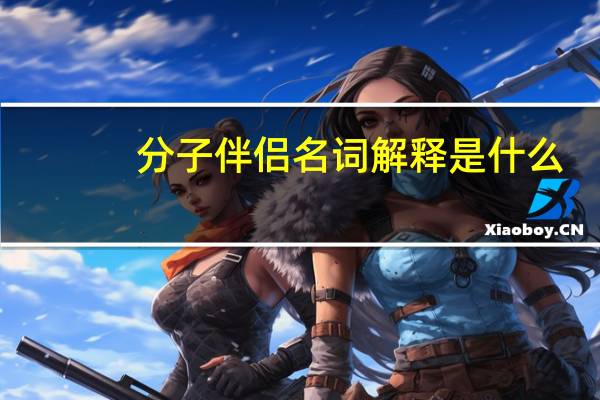 分子伴侣名词解释是什么