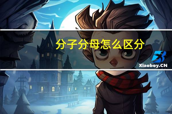 分子分母怎么区分