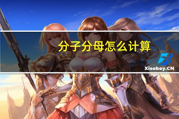 分子分母怎么计算