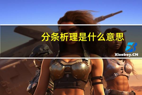 分条析理是什么意思