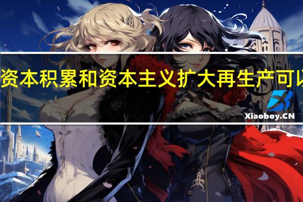 分析资本积累和资本主义扩大再生产可以看出什么