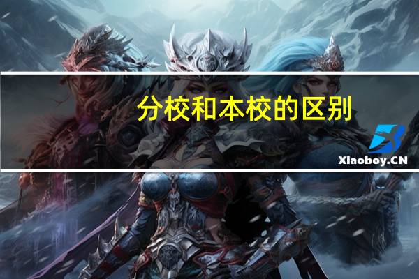 分校和本校的区别