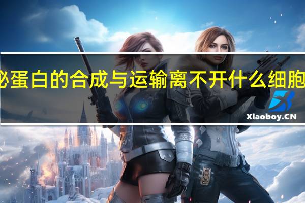 分泌蛋白的合成与运输离不开什么细胞器的参与（分泌蛋白）