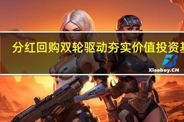 分红回购双轮驱动 夯实价值投资基础