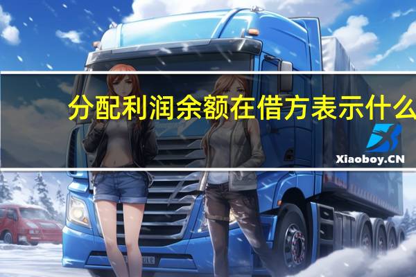 分配利润余额在借方表示什么（利润分配账户的借方余额表示什么）