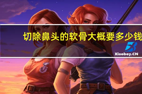 切除鼻头的软骨大概要多少钱 缩小鼻头手术多少钱