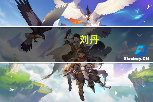 刘丹（关于刘丹的介绍）