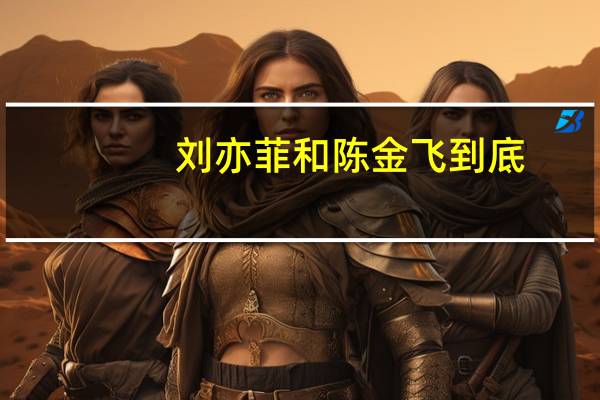 刘亦菲和陈金飞到底（陈金飞破刘亦菲处）