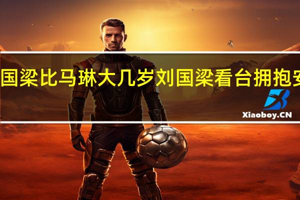 刘国梁比马琳大几岁 刘国梁看台拥抱安慰马琳