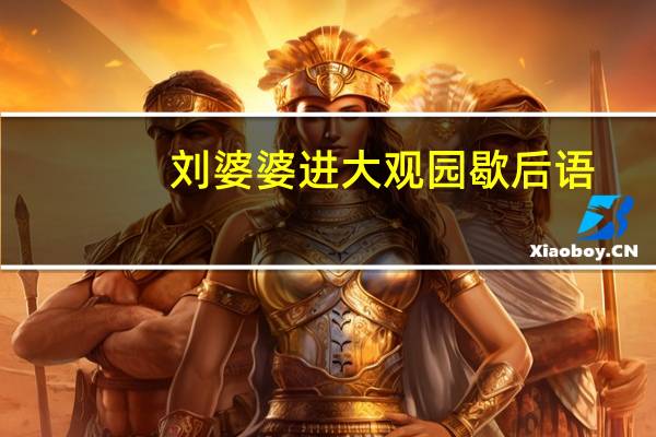 刘婆婆进大观园歇后语