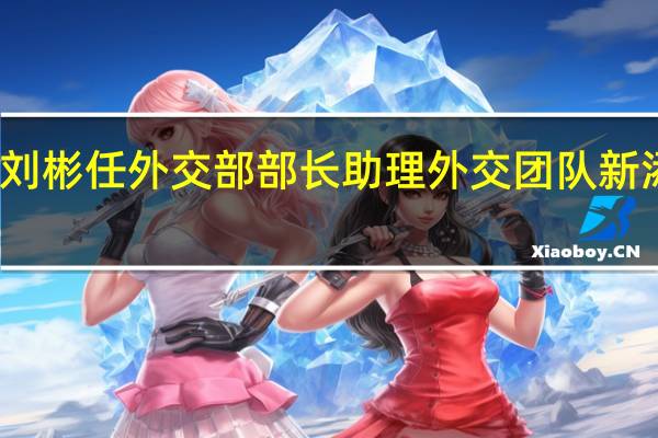 刘彬任外交部部长助理 外交团队新添干将