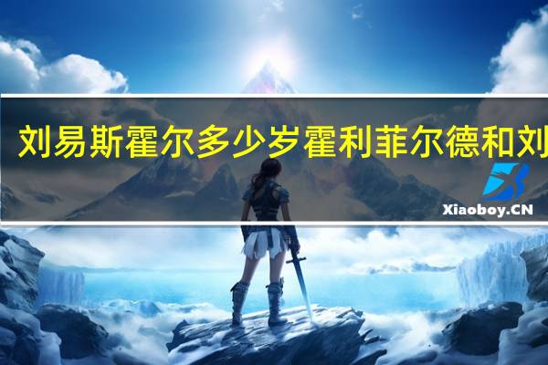 刘易斯霍尔多少岁 霍利菲尔德和刘易斯