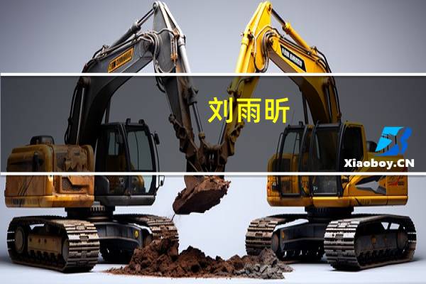 刘雨昕（关于刘雨昕的介绍）