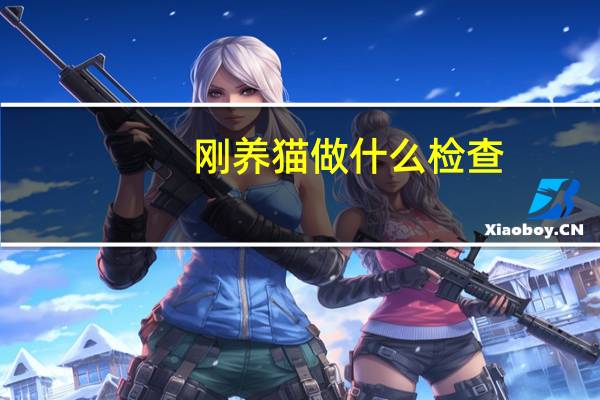 刚养猫做什么检查