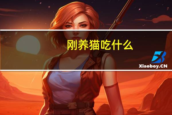 刚养猫吃什么