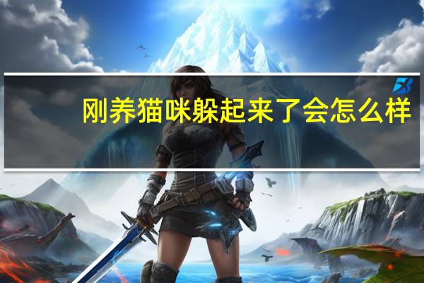 刚养猫咪躲起来了会怎么样