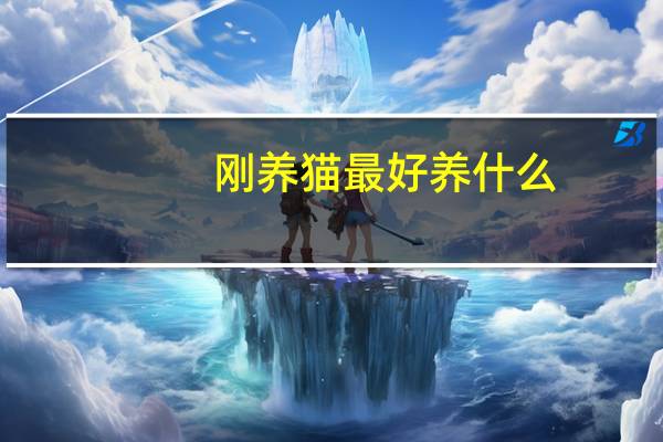 刚养猫最好养什么