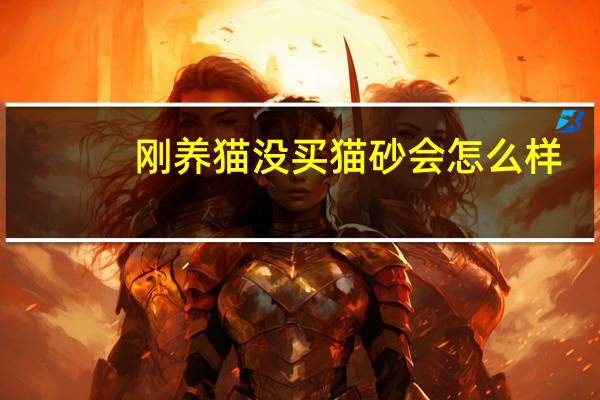刚养猫没买猫砂会怎么样