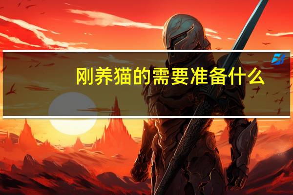 刚养猫的需要准备什么