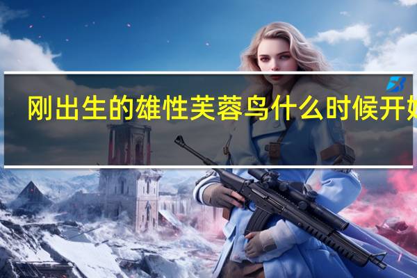 刚出生的雄性芙蓉鸟什么时候开始叫