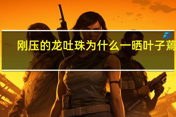 刚压的龙吐珠为什么一晒叶子蔫了