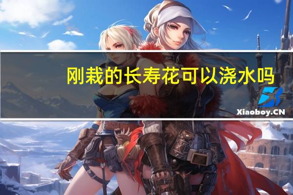 刚栽的长寿花可以浇水吗