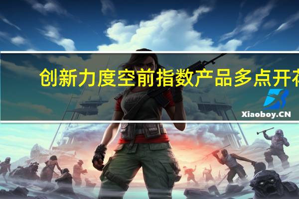 创新力度空前指数产品多点开花