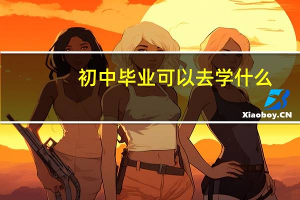 初中毕业可以去学什么