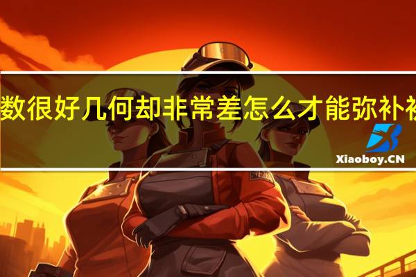 初中的数学代数很好几何却非常差怎么才能弥补 初中数学差怎么补救