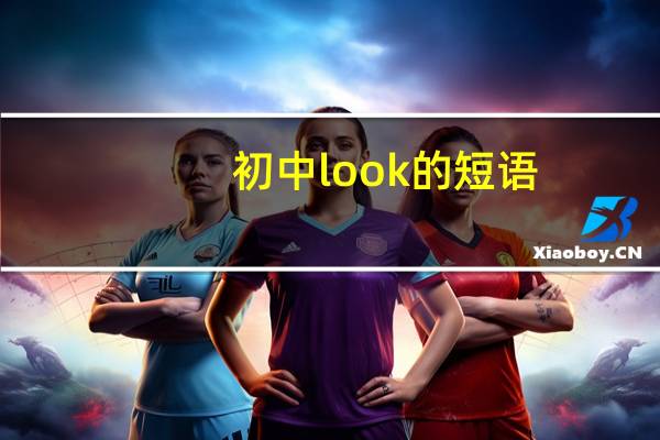 初中look的短语
