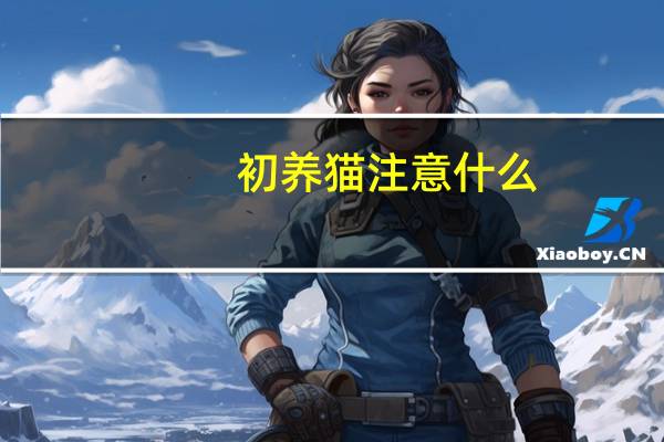 初养猫注意什么