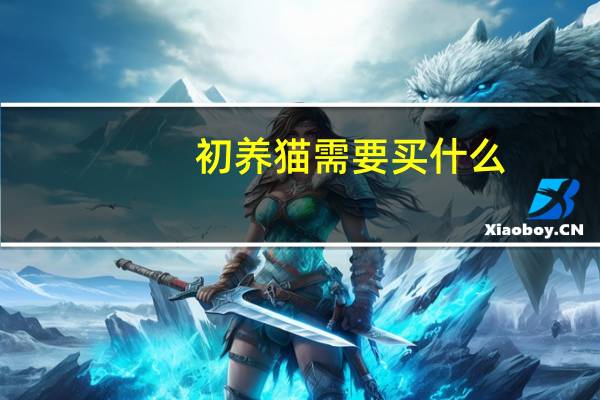 初养猫需要买什么
