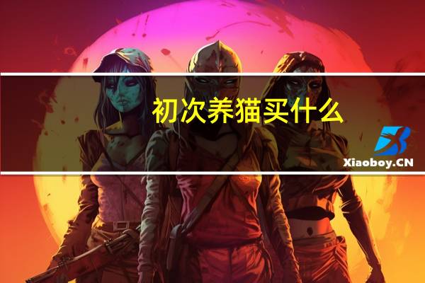 初次养猫买什么