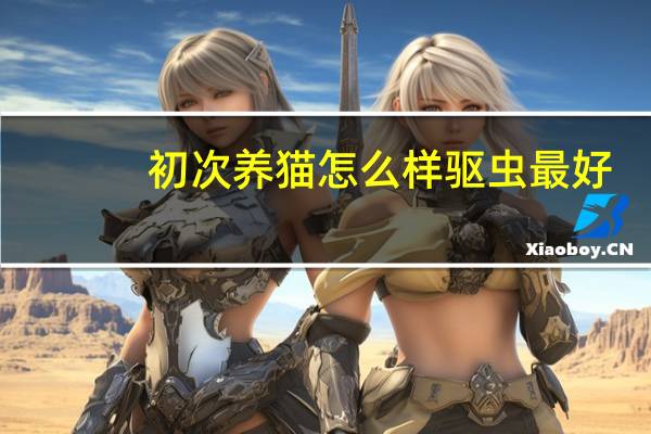 初次养猫怎么样驱虫最好