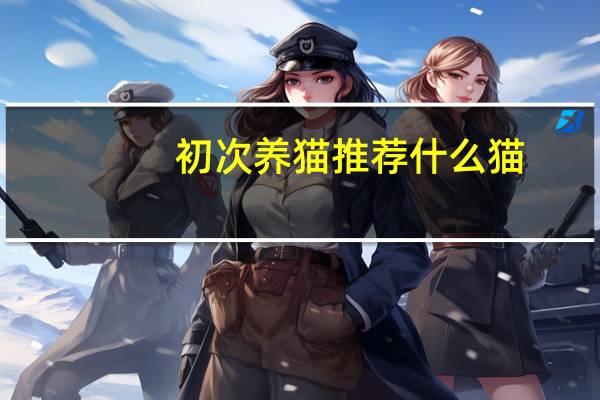 初次养猫推荐什么猫