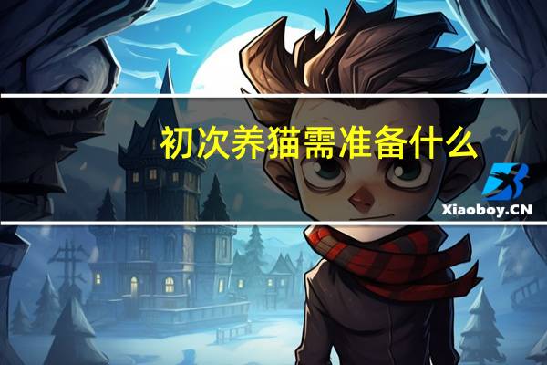 初次养猫需准备什么