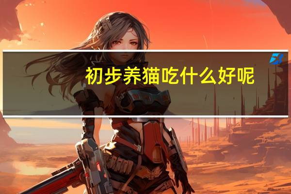 初步养猫吃什么好呢