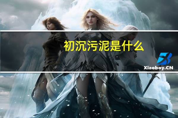 初沉污泥是什么