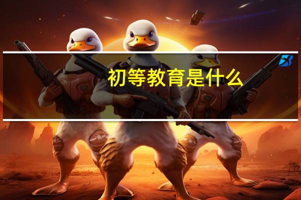 初等教育是什么