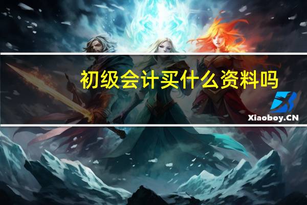 初级会计买什么资料吗