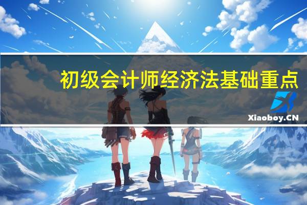 初级会计师经济法基础重点