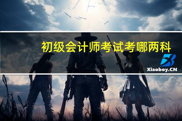 初级会计师考试考哪两科