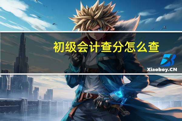 初级会计查分怎么查