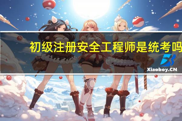 初级注册安全工程师是统考吗