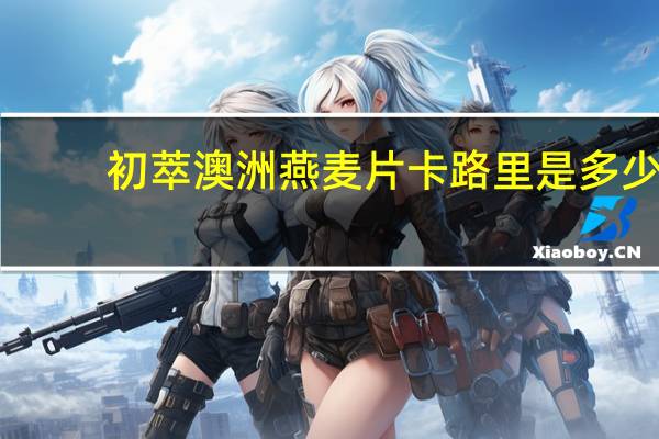 初萃 澳洲 燕麦片卡路里是多少
