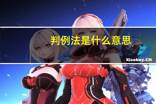 判例法是什么意思（判例法）
