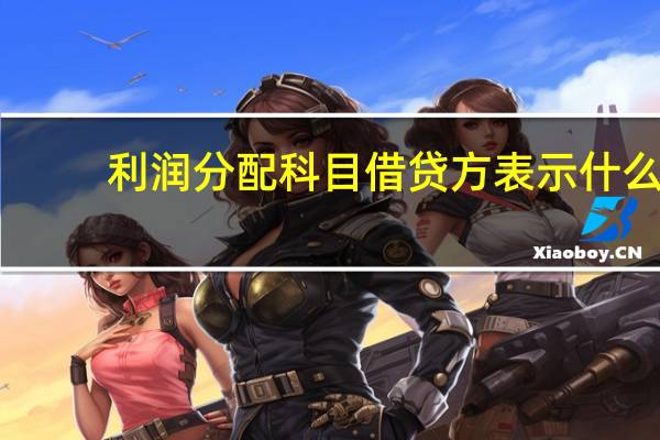 利润分配科目借贷方表示什么（利润分配借贷方分别是什么）